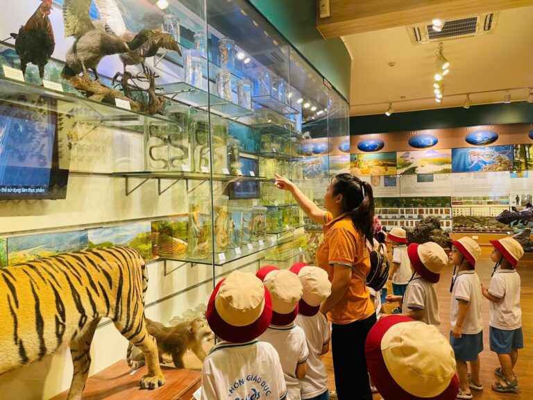 475744774_122244456806011671_6956338695373242398_n