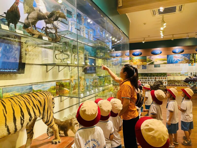 Buổi tham quan về thời tiền sử của Strong Kids - Ảnh 5