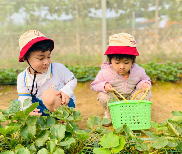 485714159_122254441838011671_2328788799919944979_n